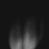 M.M.