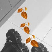 66180198-c15f-4a18-8aa2-4ef488e1e261.jpeg