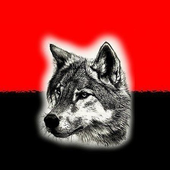 Avatar für Ghoticdruid