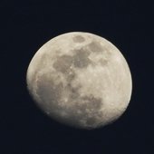 IMG_20181121_073035.jpg