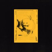 The Nail - Single
