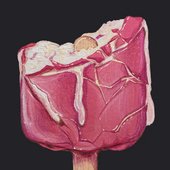 Um Gelado Antes Do Fim Do Mundo