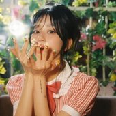 Filming the avocado mv