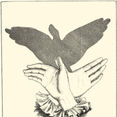 Avatar for susannaheloise