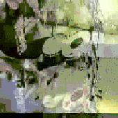 Avatar de hello_91
