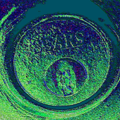 Avatar di qwwqe