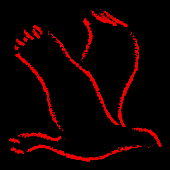 Avatar for gh_ff