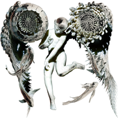 Avatar for vveregild