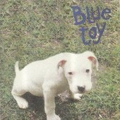 blue toy