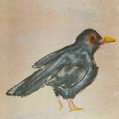 Thirteen Ways of Looking at a Blackbird