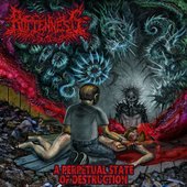 A Perpetual State of Destruction