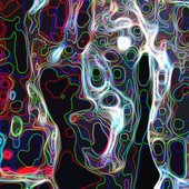 digiportrait