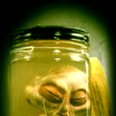 Awatar dla MegaAlien