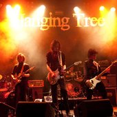 HANGING TREE
