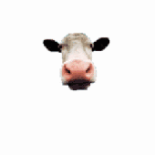 Avatar de tsime_