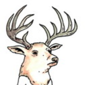 Avatar for JahMouse
