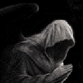Avatar for galla245