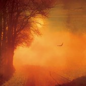 Coldawn