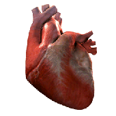 Avatar for agneszka_