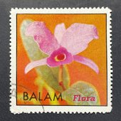 Flora