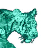 Avatar di TobyToby2