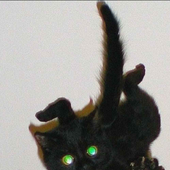 Avatar for RealKingMono