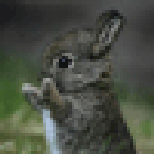 Avatar for weltunter