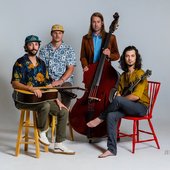 Magoo bluegrass band