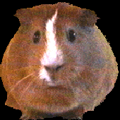 Avatar für Meersau