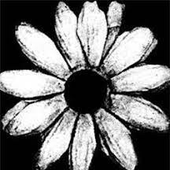 Avatar for AndyMiller1713