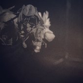 Wilted Flowers
