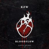 BLOODFLOW