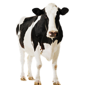 Avatar for craziestanomaly