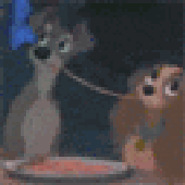 Avatar di kropcisz