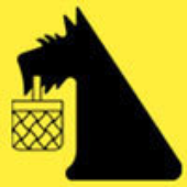 Avatar for aereogramme