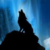 Avatar for drslowdeath
