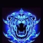 Avatar for tomifi4