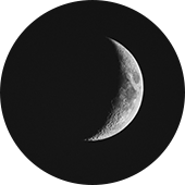 Avatar for rajnek