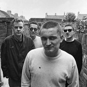 thehousemartins.JPG