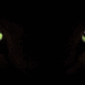 Avatar for Darkskye