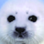 Avatar for vinyleroo