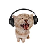 Avatar for nairajs