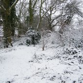 Weather 