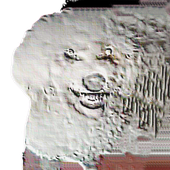 Avatar for ROTAMG