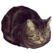 Avatar für msderyae