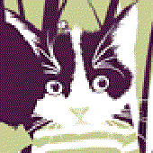 Avatar for Luxington