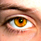 Avatar für alamong