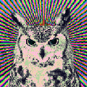 Avatar for Oz_born