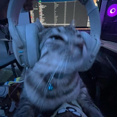 Avatar for Zeonkkj