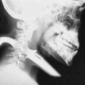 A-8062381-1596732508-5158.jpeg.jpg